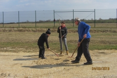 comp_IMG_3190